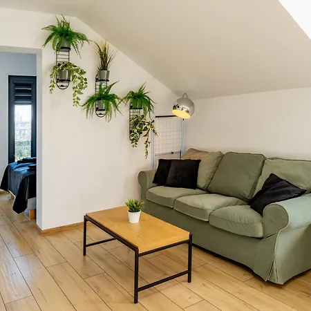 게스트하우스 Nt 드지비르지노