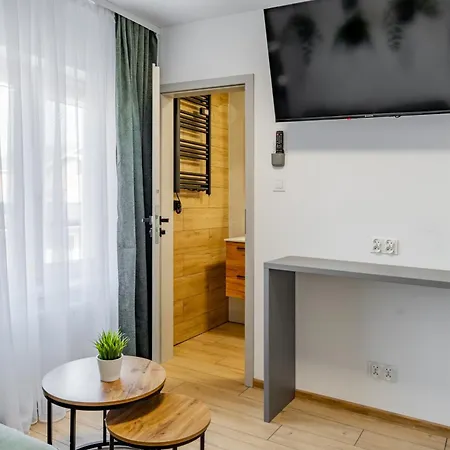 Nt 드지비르지노