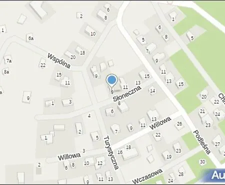 Nt 드지비르지노