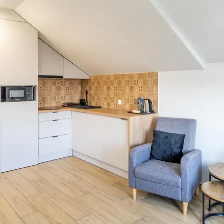 Nt 드지비르지노