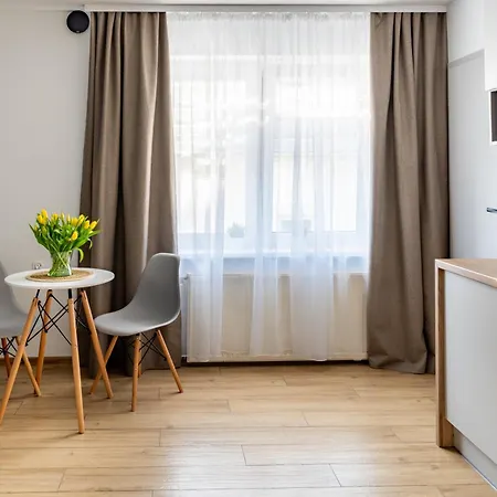 Nt * 드지비르지노